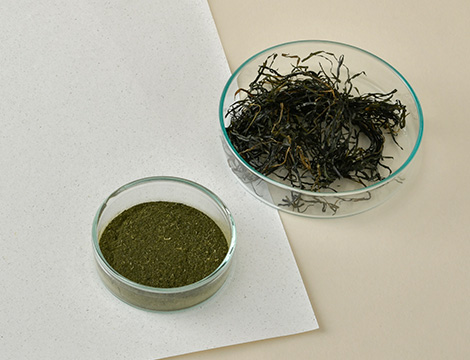 Dried and powderized Japanese eelgrass and paper mixed with Japanese eelgrass