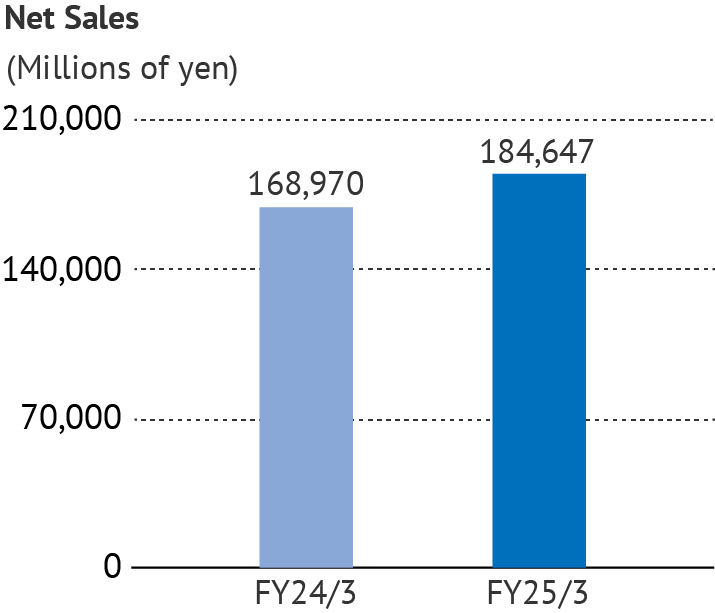 Net Sales