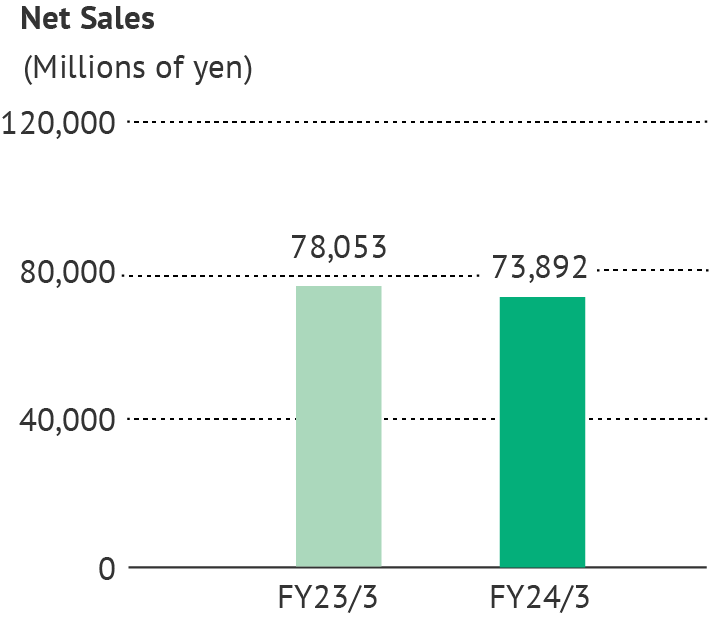 Net Sales