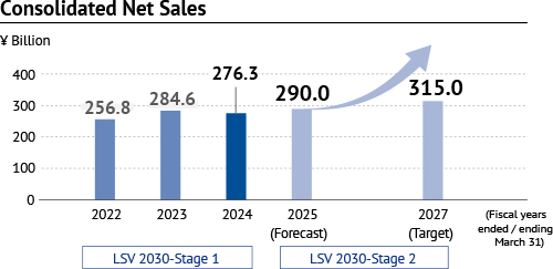 Consolidated Net Sales