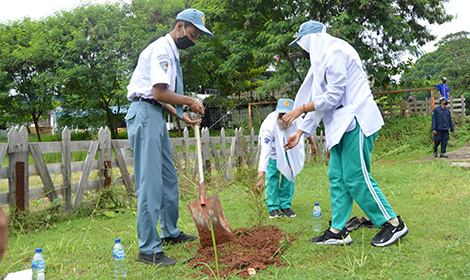 Tree planting as part of SDG awareness activities